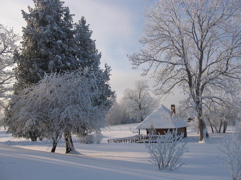 Jaunbrenguli Villa Raiskums Cameră foto